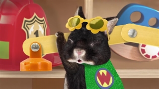 S01E11–Save the Chinchilla – Help the Golden Spider