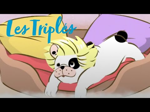 S01E15-Le bonheur d'être un chien