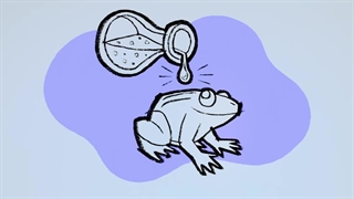 S03E13–Wizard Wallace – Heart Goes to the Dentist