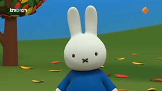 S01E08–Miffy and the Leaves