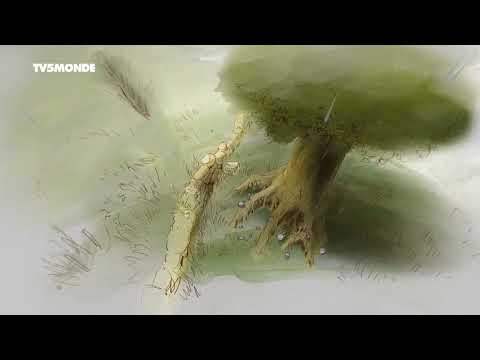 S01E18-Pendant que l'orage gronde