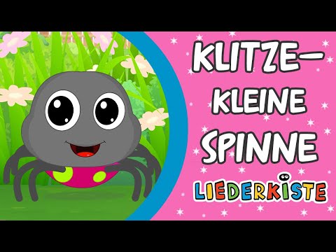 Klitzekleine Spinne