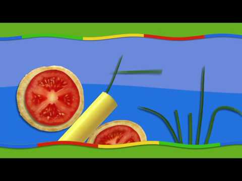 S03E06-The Butterfly