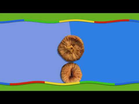 S05E05-The Brown Bear