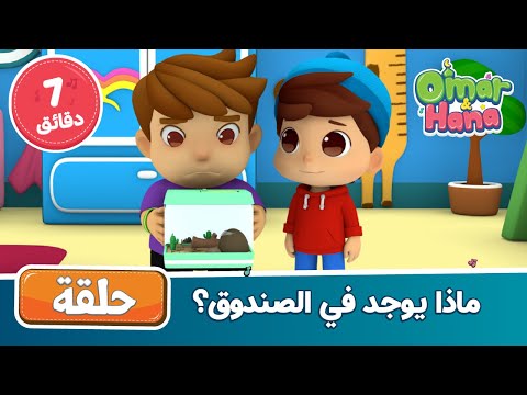 ماذا يوجد في الصندوق