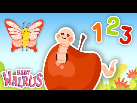 Zählen wir mit den Käfern