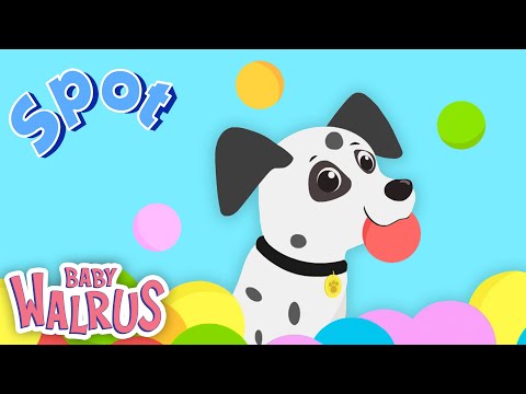 Lernt die Farben mit Spot