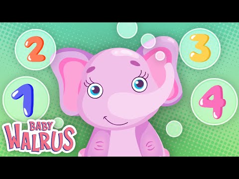 Lasst uns die Bläschen zählen