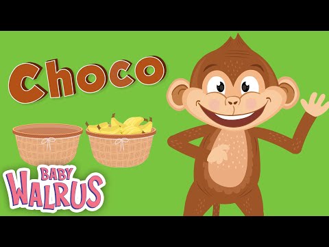 Gegensätze mit Choco