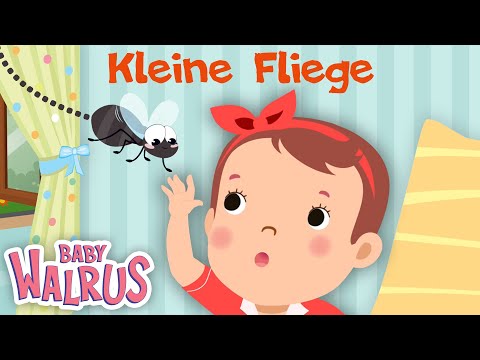 Kleine Fliege