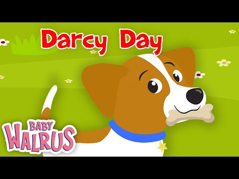 Darcy Day