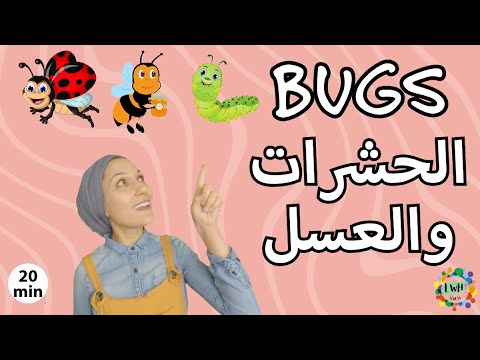 Learn About Insects, Bugs, & Seeds