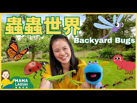 Everything about BUGS