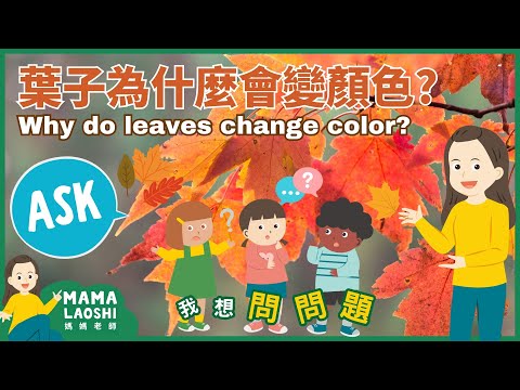 Why do Leaves Change Color