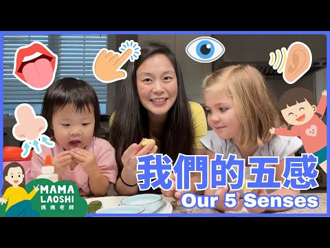 5 Senses