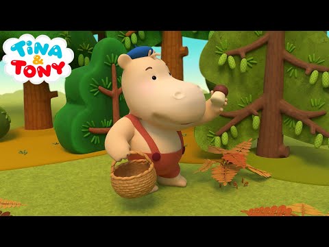 البحث عن الفطر