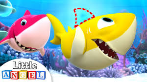 Bébé Requin A Perdu Son Aileron