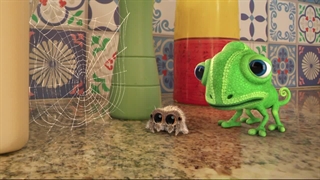 S01E01E02E03-Too Hot to Handle - The Big Squeak - Big Jumping Spider