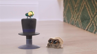 S01E18E19E20-Boingo - Findleys Bad Day - You Rang