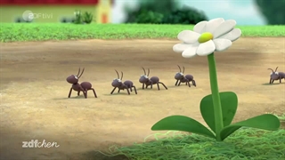 S01E21-Das Insektenhotel