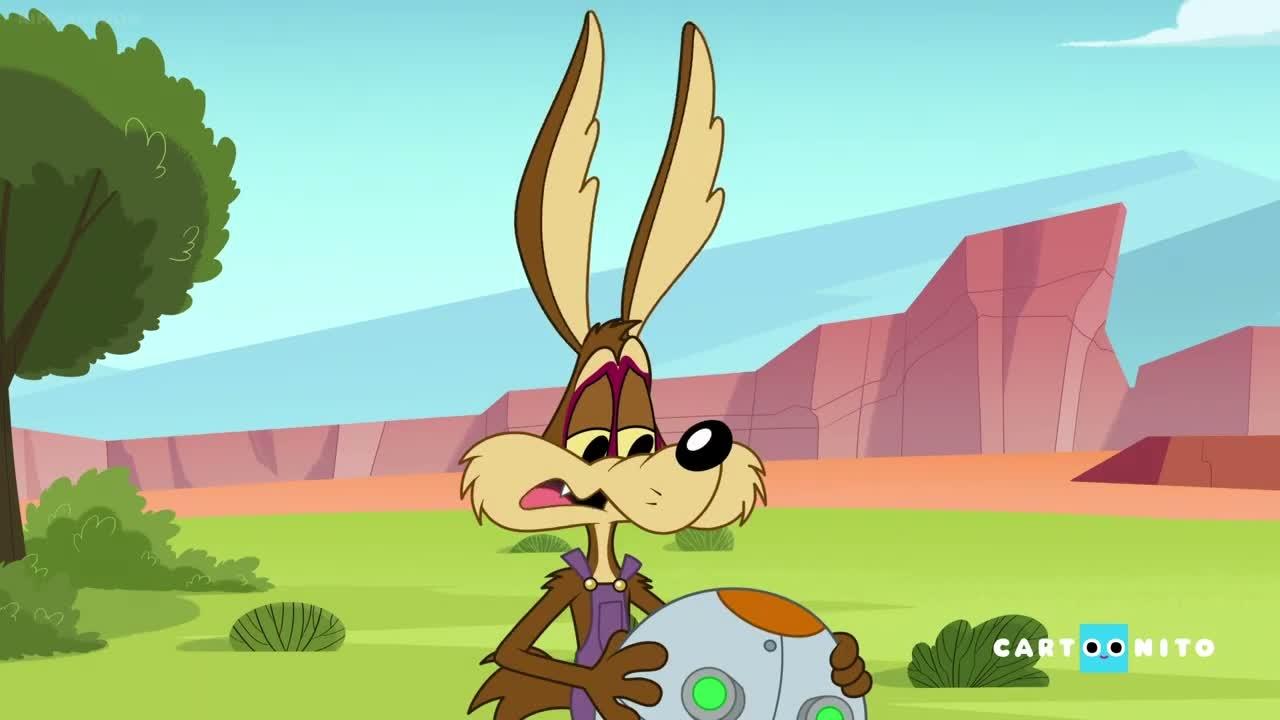 S01E13-Looney Science