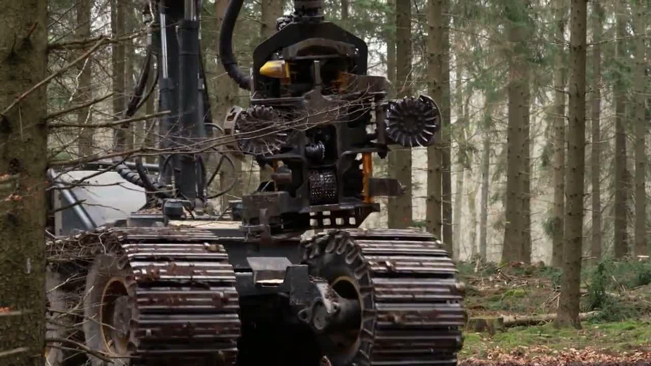 S01E08-Moritz Und Die Baumfällmaschine