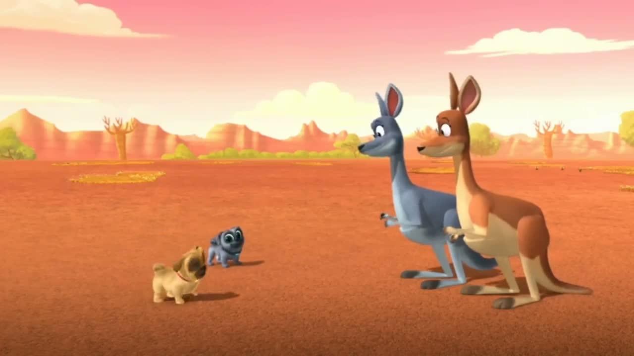 S01E24-Bobs Boomerang Fetch that Fish