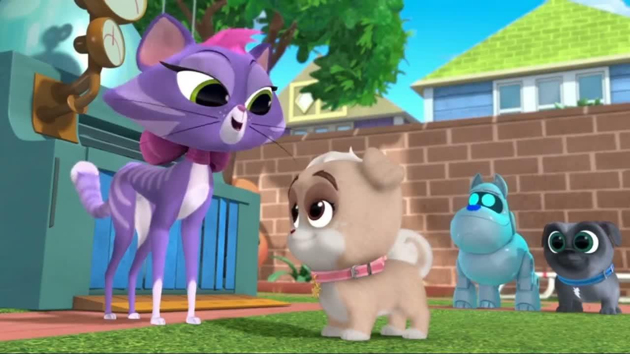 S02E09-Windy City Sham pooch