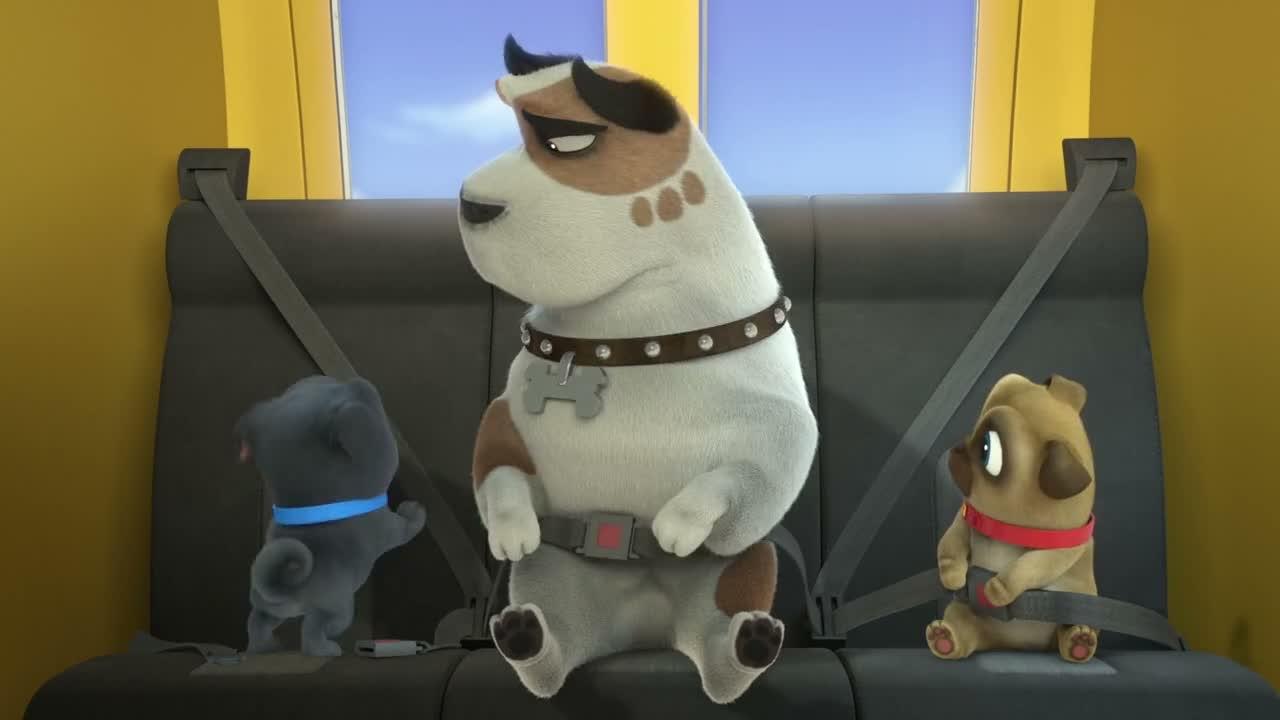 S04E02-Pups on Parade Pops Promise