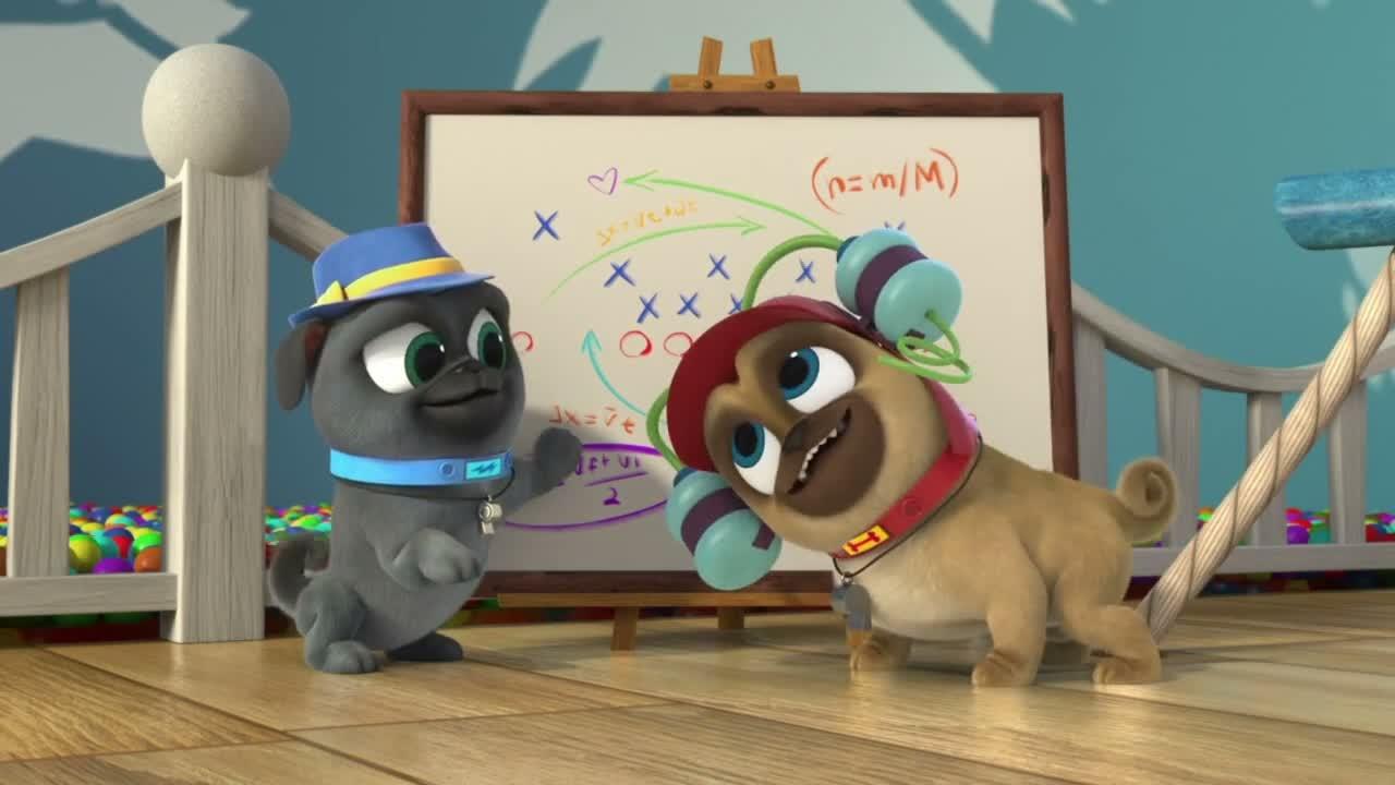 S04E07-Pups in the Wild The Sunshine Pups