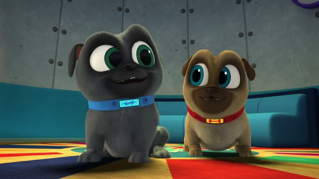 S05E12-Surfs Up Pups Rock and Roller Pups