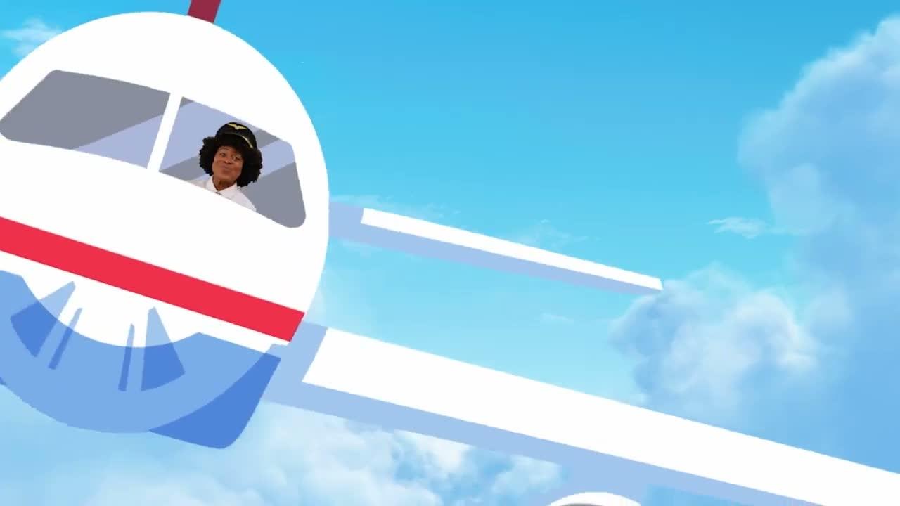 Wings On The Plane Go Up And Down