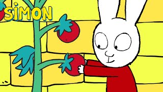 S01E52-Mr Mess it up