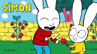 S01E03-Tomatoes