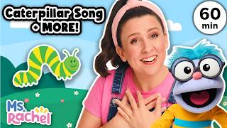 Caterpillar Song Kids Songs and Nursery Rhymes Songs for Toddlers