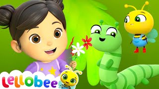 Caterpillar Butterfly Song