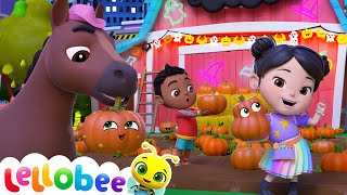 Pumpkin Patch