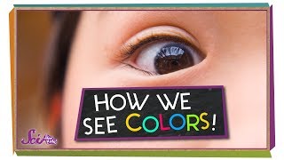 S01E05-How do we see color
