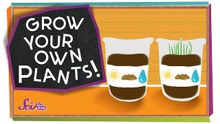 S01E16-Grow your own plants