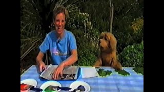 Episode 29