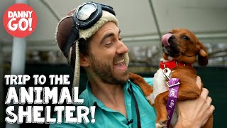 S01E23-Animal Shelter Field Trip