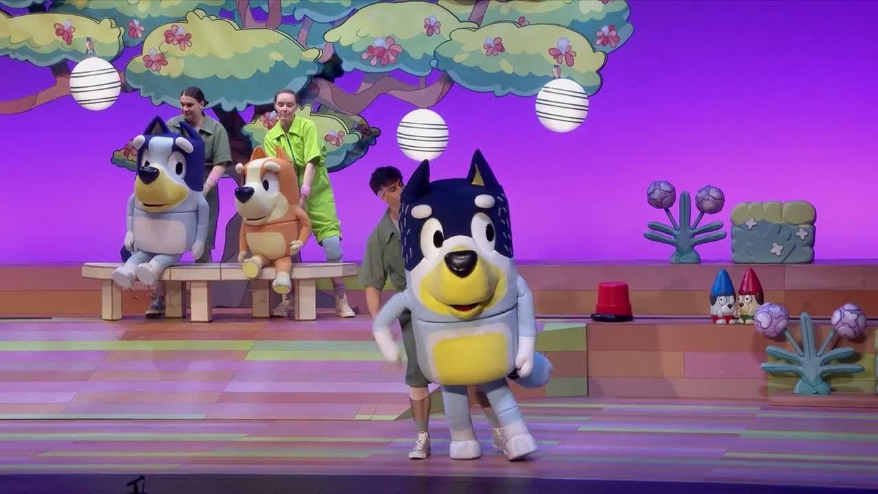 Blueys Big Play