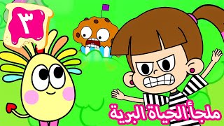 ۳- ملجأ الحياة البرية