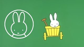Miffy am Meer