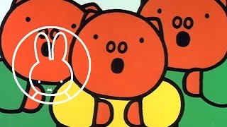 Poppy Pigs Geburtstag