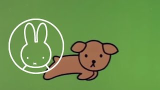 Schnuffy