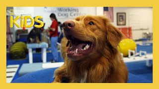 S01E04-Dog Days