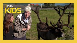 S01E06-Animal Headgear