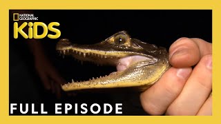 S01E10-Animal Invaders