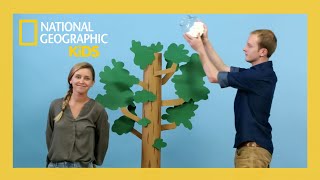 S02E05-Trees Big & Small